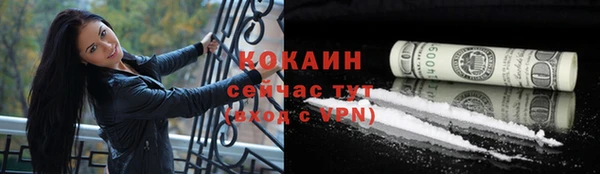 мескалин Михайлов