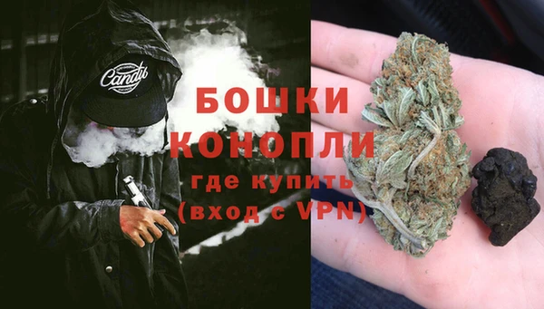 спиды Бородино